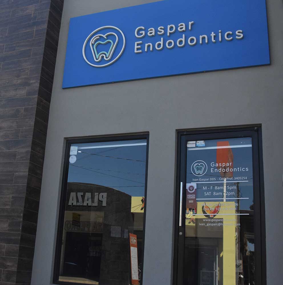 Gaspar Endodontics